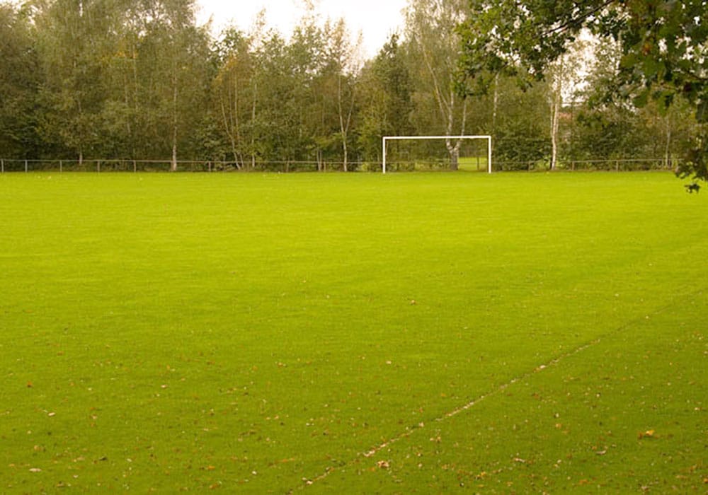 Fotbollslager Eibergen 02